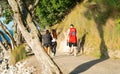 Mount Maunganui base track in golden evening light track framed by pohutikawa trees