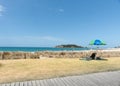 Sunbather with green and blue umbrella and grass by beach