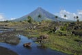 Mount Mayon Volcano Royalty Free Stock Photo