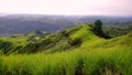 Mount Megatong in Santo Tomas, Davao del Norte, Philippines.