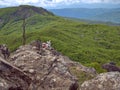 Monte Menegosa Piacenza Italy