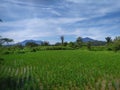 Mount Merapi and Mount Singgalang can be seen from a distance Royalty Free Stock Photo