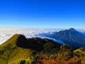 Mount Merbabu 3,145 masl in Indonesia.