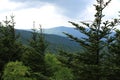 Mount Mitchell State Park View