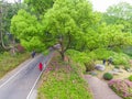 Early spring scenery of Moshan Rhododendron Garden in East Lake, Wuhan, Hubei, China