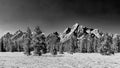 Mount Moran and Grand Teton in black and white