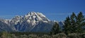 Mount Moran of the Grand Tetons mountain range in the spring / summer in Wyoming Royalty Free Stock Photo