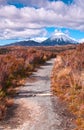 Mount Ngaurohoe (Mount Doom)