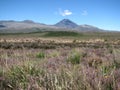 Mount Ngauruhoe or Mount Doom LOTR Royalty Free Stock Photo