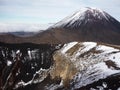 Mount Ngauruhoe, Tongariro, New Zealand Royalty Free Stock Photo