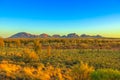 Kata Tjuta at sunrise Royalty Free Stock Photo