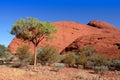 Mount Olgas Royalty Free Stock Photo