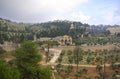 Mount of olives Royalty Free Stock Photo