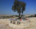 Mount of olives