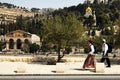 Mount of Olives in Jerusalem Israel