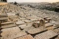 Jewish cementery