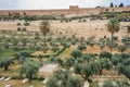 Mount of Olives and the old Jewish cemetery in Jerusalem, Israel. Royalty Free Stock Photo