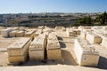 Mount of olives