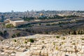 Mount of olives