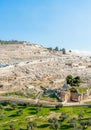 Mount of Olives Royalty Free Stock Photo