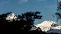 Mount Olivia Ushuaia Tierra del Fuego Royalty Free Stock Photo