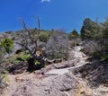 Mount Olympus Peak hiking trail views spring via Bonneville Shoreline, Wasatch Front Rocky Mountains, by Salt Lake City, Utah. Uni