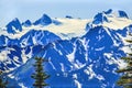 Mount Olympus Snow Mountains Hurricane Ridge Olympic Park Washington Royalty Free Stock Photo