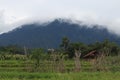 mount Pangrango. Indonesia Royalty Free Stock Photo