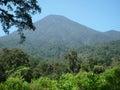 Mount pangrango view West Java Royalty Free Stock Photo