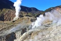 Mount Papandayan Crater Royalty Free Stock Photo