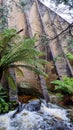 Mount Paris Dam Wall on the Cascade River Tasmania. In the Tasmanian bush with ferns and eucalypts