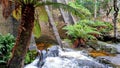 Mount Paris Dam Wall on the Cascade River Tasmania. In the Tasmanian bush with ferns and eucalypts