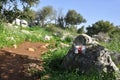 Mount path Nature walk in Carmel mountain- GRASS @ ROCK VIEW