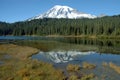 Mount Rainer, Washington Royalty Free Stock Photo