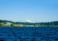 Mount Rainier Royalty Free Stock Photo