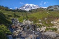 Mount Rainier, stream and alpine meadows from the Skyline Trail Royalty Free Stock Photo