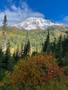 Mount Rainier on a beautiful sunny day with fall colors Royalty Free Stock Photo