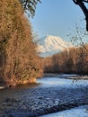 Mount Rainier and the Carbon River at its feet. Royalty Free Stock Photo