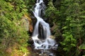 Mount Rainier falls Royalty Free Stock Photo