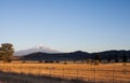 Mount Rainier and field Royalty Free Stock Photo