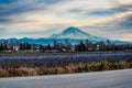 Mount Rainier From Kent