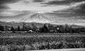 Mount Rainier From Kent 4