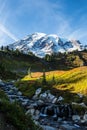 Mount Rainier landscape
