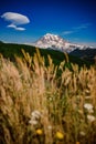 Mount Rainier Royalty Free Stock Photo