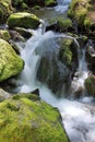 Mount Rainier National Park, Little Stream Cascading over Mossy Rocks at Silver Falls, Oregon, USA Royalty Free Stock Photo