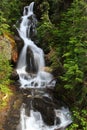 Mount Rainier national park Royalty Free Stock Photo