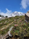 Mount Rainier peak Royalty Free Stock Photo