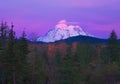 Mount Rainier National Park From a Distance