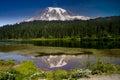 Mount Rainier Reflection Lake Royalty Free Stock Photo