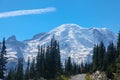 Mount Rainier from road to Sunrise Royalty Free Stock Photo